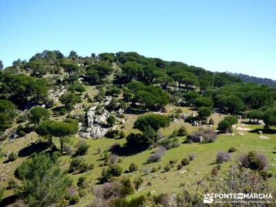 Valle de la Pizarra y los Brajales - Cebreros; findes montes de leon cotos madrid